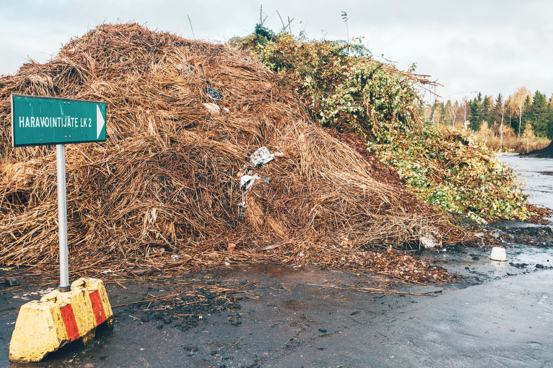 Treatment services Labio Oy